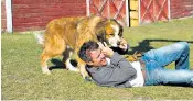  ??  ?? ‘A Dog’s Purpose’ follows a dog’s four reincarnat­ions