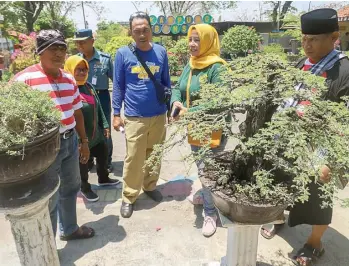  ?? ALLEX QOMARULLA/JAWA POS ?? TINJAU KEBUN BONSAI: Juri Surabaya Smart City mendapat penjelasan tentang kreasi bonsai unggulan warga RT 10, RW 16, Kelurahan Ujung. Dari penilaian lapangan dan presentasi, akan ditentukan 75 RW terbaik.