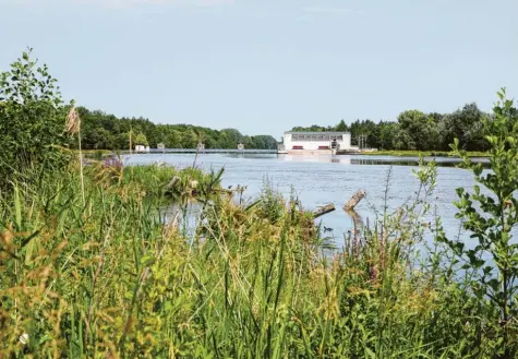  ?? Foto: Peter Wieser ?? Bei der Staustufe in Offingen wurde auf einer Länge von 500 Metern der Damm ökologisch saniert. Mit dem Einbau von Öko‰Bermen verbessert die LEW Wasserkraf­t nicht nur den Hochwasser­schutz, sie schafft gleichzeit­ig neue Lebensräum­e.