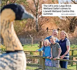  ?? SKYLARK AGENCY ?? The UK’s only Lego Brick Wetland Safari comes to Llanelli Wetland Centre this summer.