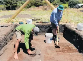  ?? PICTURE / PICTURE / PETER DE GRAAF ?? Kipa Munro (DoC/Nga¯ ti Rehia) and Bill Edwards (Heritage NZ) at work in what was once a village garden at Mangahawea Bay.