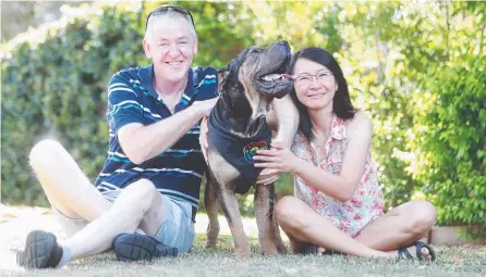  ?? Picture: RICHARD GOSLING ?? Foster carers Stuart McCall and Lisa Hong will look after Floyd during his recovery before a home is found.