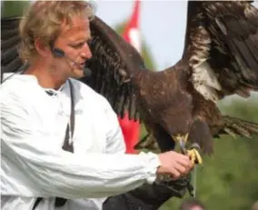  ?? FOTO RR ?? Valkenier Dominique Willems aan het werk.