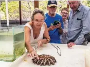  ??  ?? Lizard Island Research Station director Anne Hoggett explains how crown-of-thorns starfish outbreaks have been exacerbate­d by climate change.