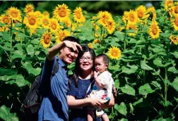  ??  ?? A family takes photos against a backdrop of blooming sunflowers at the Olympic Forest Park in Beijing, on July 4, 2021.