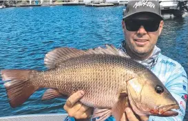  ?? ?? Brett Doolan did well to land this solid Mangrove Jack.