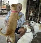  ??  ?? A rescued dog at MunMun Furkid Haven giving his human, Ng, a hug while other canines clamour for some attention. — MAJORIE CHIEW/ The Star