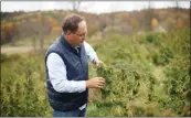  ?? PHOTO PROVIDED ?? Richard Taylor checks out the hemp plants on his farm in Washington County.