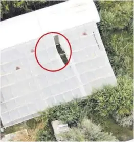  ?? Policía Nacional ?? Imagen aérea de una de las plantacion­es que fueron desmantela­das.