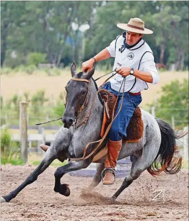  ?? ?? “Mazangano Espina”, de cabaña “Los Olivos de Caraguatá”, con Mauro Villamor ganó en Profesiona­les. “Estamos muy conformes con selecciona­r un caballo integral, resistente y bueno en todas las pistas y sobre todo con sangre oriental, creemos en lo que producimos”, aseguró el Ing. Agr. José María del Campo Gigena.