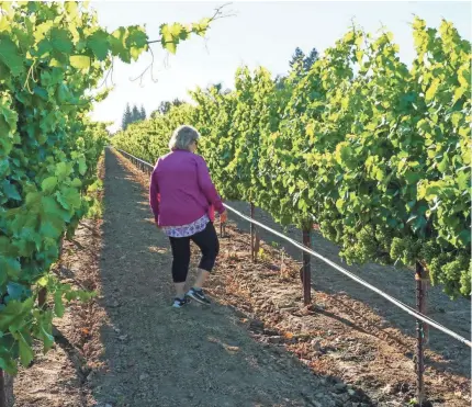  ?? ACQUIESCE WINERY ?? The coronaviru­s pandemic forced Susan Tipton to shutter Acquiesce Winery’s tasting room.