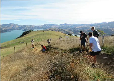  ??  ?? TOP A keen bunch of volunteers, armed with shovels and picks, join Hamish on a track maintenanc­e working bee, giving back to the man who has given them access to his private mountain biking tracks.