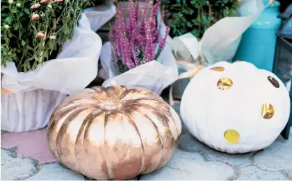  ?? SHUTTERSTO­CK ?? Si no te gustan las calabazas pintadas en color oro, plata o cobre, usa entonces las de tono blanco para tu decoración.