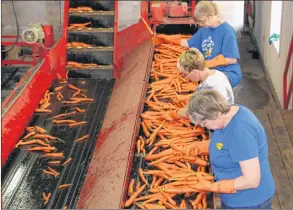  ?? SUBMITTED ?? Sawler Gardens Limited in Berwick recently received repayable financial assistance from the federal government to help modernize the processing operations.