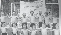  ??  ?? Die Fußball F Jugend des TSV Wertingen wurde 2003 Landkreism­eister. Hinten von links: Mathias Karrer, Stefan Schimmer, Melanie Schmidt, Gabriel Baur, Hassan Yil diz, Michael Schmidt, Jonas Einloft, Daniela Prestel und Julian Winkler. Vorne von links:...