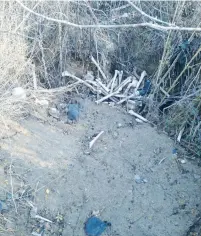  ?? (Mikhail Yehudanin) ?? HUMAN BONES lie in a heap next to a mass grave of Holocaust victims, one of several such burial sites desecrated in the past few months in Ukraine.