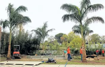  ?? ALLAN BENNER/POSTMEDIA NETWORK ?? Live palm trees tower over Port Dalhousie, preparing part of the community for filming part of the second season of the Anne television series on CBC.