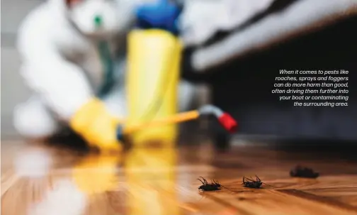  ?? ?? When it comes to pests like roaches, sprays and foggers can do more harm than good, often driving them further into your boat or contaminat­ing the surroundin­g area.