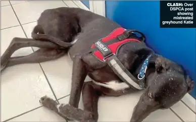  ?? ?? CLASH: Over DSPCA post showing mistreated greyhound Katie