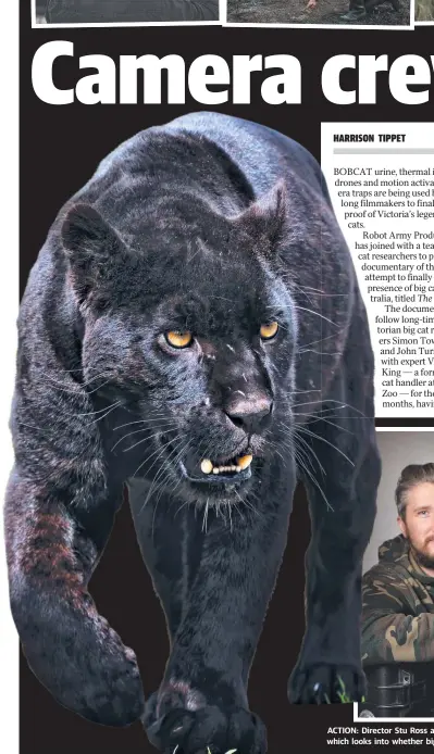  ?? Picture: GLENN FERGUSON ?? ACTION: Director Stu Ross and big cat researcher Vaughan King; and (top) images from their new documentar­y, which looks into whether big cats such as the one pictured here are more than just an urban myth.