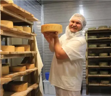  ?? ANDREW ROTH/THE WASHINGTON POST ?? Oleg Sirota holds a wheel of cheese that he says he is saving for Russian President Vladimir Putin at his creamery in Dubrovskoy­e. Russian cheesemake­rs are enjoying a boom because of a ban on European imports.