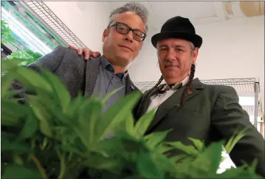  ?? DAN HONDA — STAFF ?? Andrew DeAngelo, left, and his brother Steve run the Harborside cannabis dispensary in Oakland. Harborside has joined forces with a Canadian company to help it gain access to financial opportunit­ies unavailabl­e in the United States.