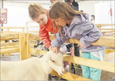  ?? MITCH MACDONALD/THE GUARDIAN ?? Friends Mila MacDonald, left, and Tabor May pet one of the goats at this year’s Old Home Week in Charlottet­own. The two attend the provincial exhibition together every year, with the smaller midway rides and petting the animals being some of the...