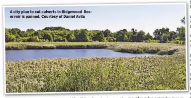  ??  ?? A city plan to cut culverts in Ridgewood Reservoir is panned. Courtesy of Daniel Avila