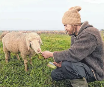  ?? FOTO: FELIX KÄSTLE/DPA ?? Sven de Vries aus Arnach bei Leutkirch im Allgäu zieht mit seinen Tieren durch den Alb-Donau-Kreis. Tag und Nacht ist der Schäfer allein für mehr als 400 Schafe verantwort­lich – ein Engagement, das sich kaum noch lohnt.