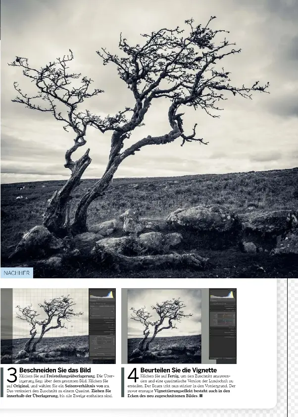 Pressreader Photoshop Lightroom 18 01 01 Beschneiden Sie Das Bild