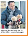  ??  ?? Multipups: Ant Mcpartlin and his girlfriend have acquired a cute pair