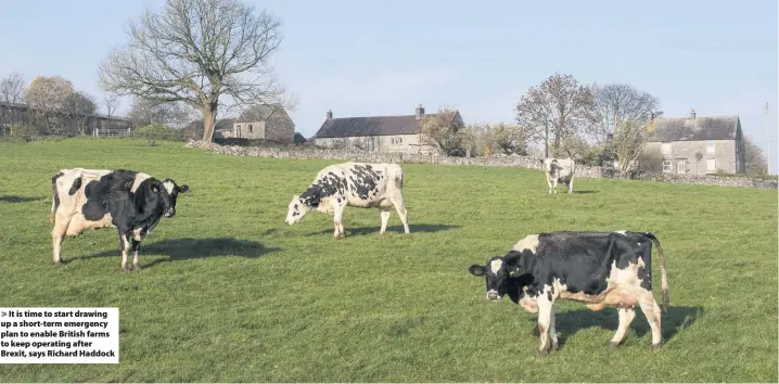  ??  ?? It is time to start drawing up a short-term emergency plan to enable British farms to keep operating after Brexit, says Richard Haddock