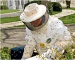  ?? AFP ?? BEE CARE: White House carpenter Charles Brandts lends his skills to the White House after a swarm of Honey Bees nested near one of the gates at the White House in Washington. —