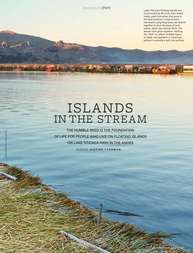  ??  ?? Lake Titicaca's floating islands are constructe­d by the Uros from totora reeds, giant bulrushes that grow in the lake shallows. Large chunks, harvested using long saws, are lashed together to form the base of each island, about two metres thick. The dense roots grow together creating the "khili" on which multiple layers of reeds are layered in a crisscross pattern to provide a soft, dry surface.