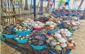  ??  ?? In Visayas, feast on fresh and mouth-watering seafood
