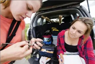  ?? NATHAN DENETTE, THE CANADIAN PRESS ?? Taylor Brown, left, and Megan Wilcox, both research technician­s at Bird Studies Canada, take measuremen­ts and tag a young barn swallow in Townsend, Ont., last month.