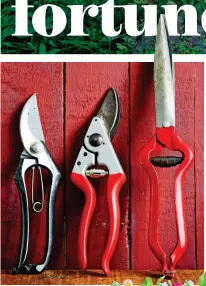  ?? ?? CUTTING COSTS: Renovated secateurs. Right: Easy pot feet