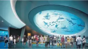  ?? PHILIP AND PATRICIA FROST MUSEUM OF SCIENCE VIA THE NEW YORK TIMES ?? A rendering of the aquarium shows the oculus lens that will give visitors the impression of seeing fish from the bottom of a huge cocktail glass.