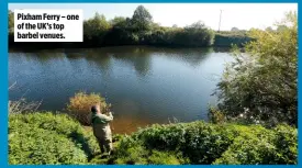  ??  ?? Pixham Ferry – one of the UK’s top barbel venues.