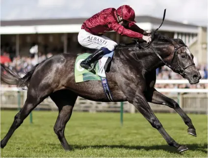  ??  ?? GOOD WORK. Roaring Lion has been putting up some excellent work at home and is strongly fancied by Geoff Lester to win the Grade 1 Juddmonte Internatio­nal Stakes at York today.