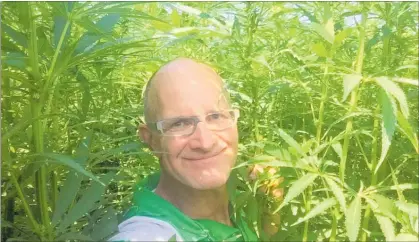  ?? PICTURE / SUPPLIED ?? Michael Mayell reckons hemp qualifies as a “formidable vegetable”.