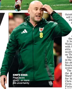  ?? ?? KNIFE EDGE: Page faces glory... or more job uncertaint­y