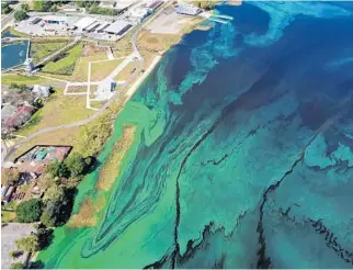  ?? FRED SOMMER/COURTESY PHOTO ?? Aerial photo of the algae bloom on Lake Minneola in early 2020. Officials will try an unproven chemical treatment designed by an Israeli company to remove the algae that will cost $1.7 million.