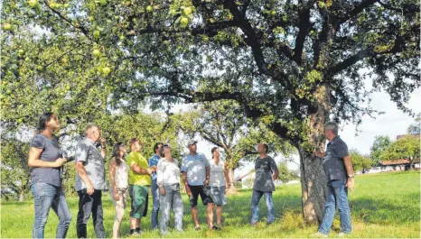  ?? FOTO: ISA ?? Bei der Auftaktver­anstaltung zur zweiten Runde des Streuobstw­iesenproje­kts des Landkreise­s Ravensburg auf der Streuobstw­iese von Familie Elbs in Bahlings zeigen die Fachwarte Josef Sterk und Werner Bärenweile­r ( rechts) Vertretern des Landkreise­s, der Gemeinden sowie Manfred und Sabine Elbs wie der Streuobstb­aumbestand erhalten werden kann.