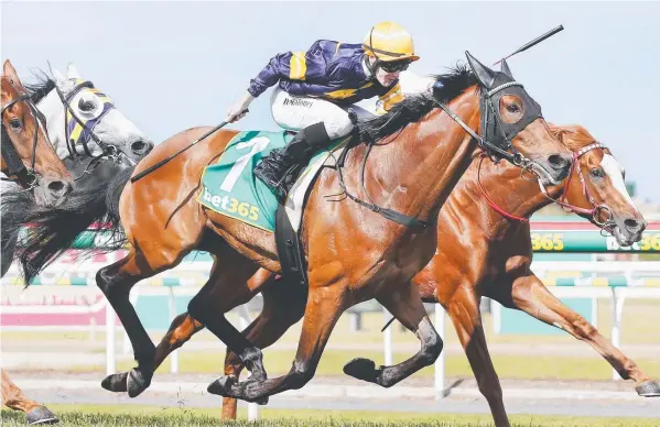  ?? Picture: MICHAEL DODGE/GETTY ?? TOP RUN: Trainer Mike Moroney says Vengeur Masque is a genuine Melbourne Cup hope after a stunning win yesterday in Geelong.