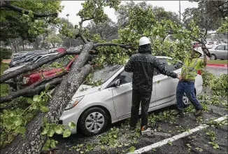  ?? RALPH BARRERA / AMERICAN-STATESMAN ?? Javier Ponce (left) and Rolando Lopez of Certified Arbor Care remove a large tree felled Friday by powerful storms onto several cars at the ACC Highland Mall campus.