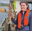  ?? Photograph: COAST ?? Researcher Éilís Crimmins holds the largest Arran lobster recorded - a 141mm male in the NTZ.