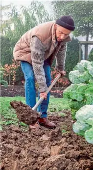  ??  ?? Solul greu trebuie săpat în profunzime cu cazmaua toamna, căci gerul duce la sfărâmarea bolovanilo­r de pământ și afânează în mod natural straturile. În cazul solului ușor este de ajuns o săpare superficia­lă