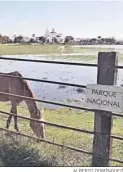  ?? ALBERTO DOMÍNGUEZ ?? Parque Nacional de Doñana.