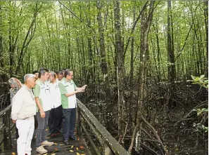  ??  ?? National treasure: Masidi (right), Zainie (with beard) and former SWCS president Datuk Tengku Zainal Abidin (in light brown jacket) during a visit to the mangrove wetland.